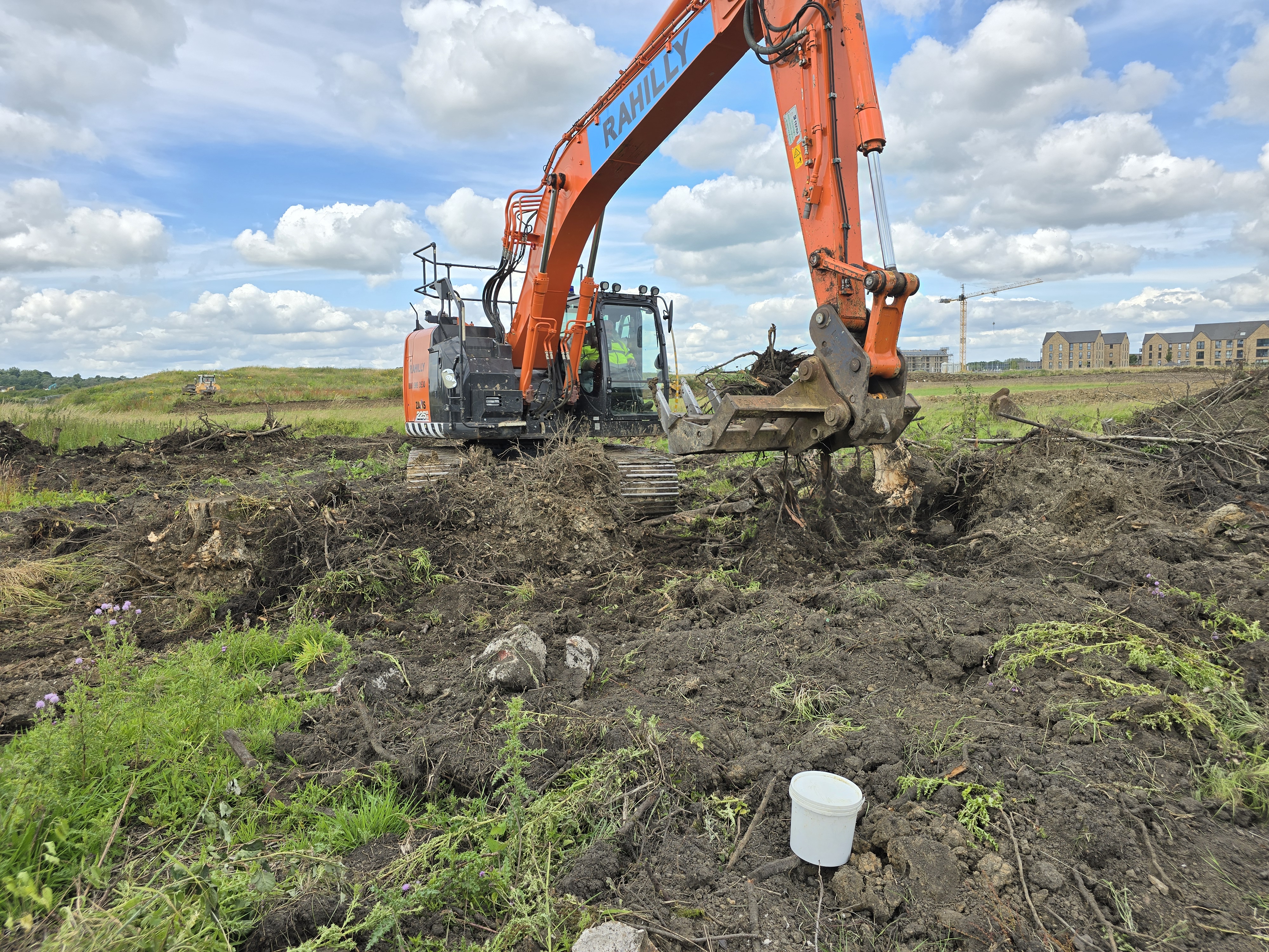 Riddling the stumps on the banks of the old canal