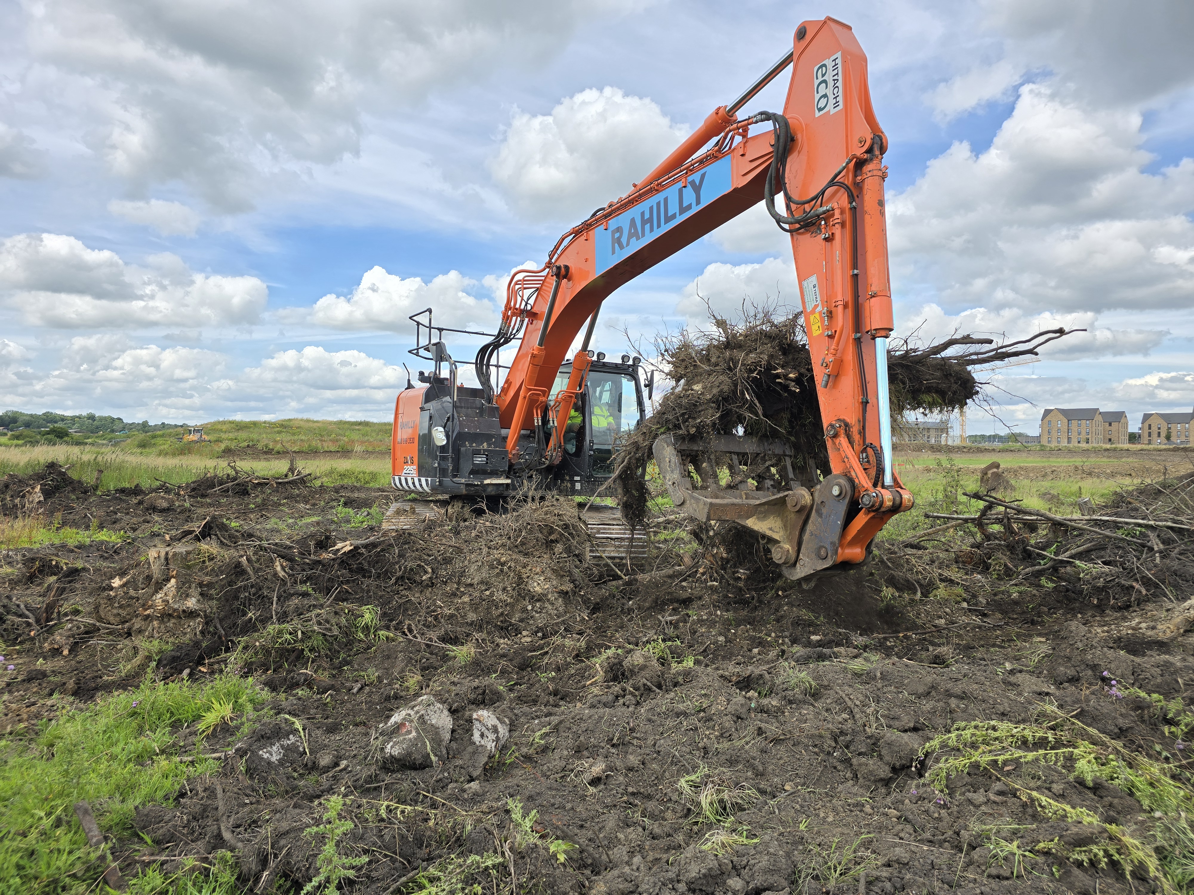 stumps in canal bank
